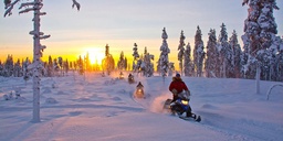 [ALF001] Polar experience in Lapland, Finland